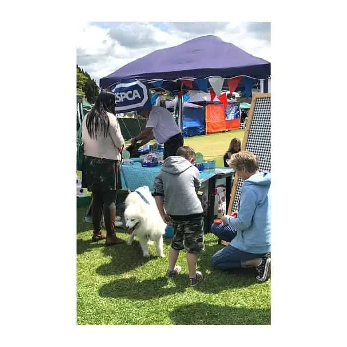 What to wear to an outdoor dog show as a spectator