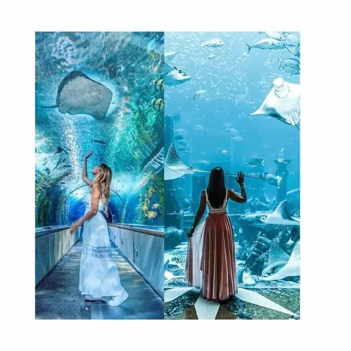 aquarium photoshoots outfits