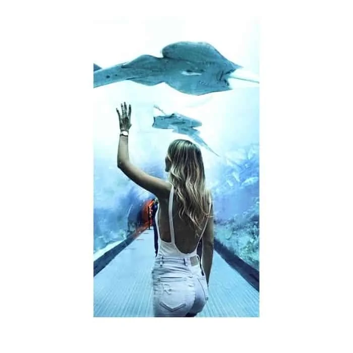 what to wear to aquarium