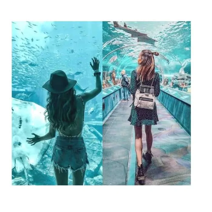 what to wear to aquarium