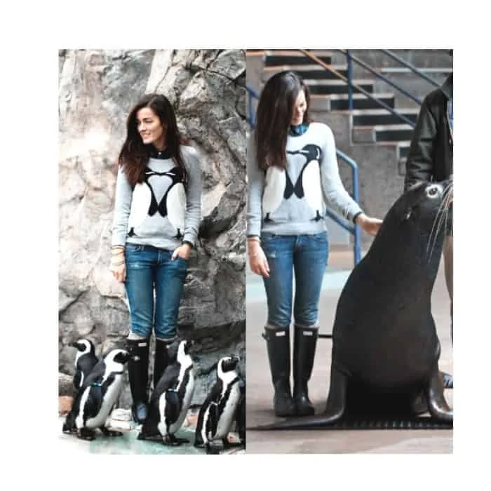 cute aquarium outfits