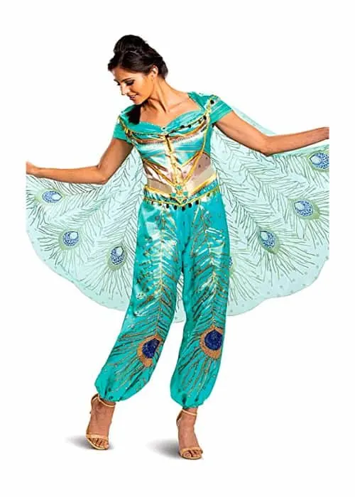 Aladdin Jasmine Costume