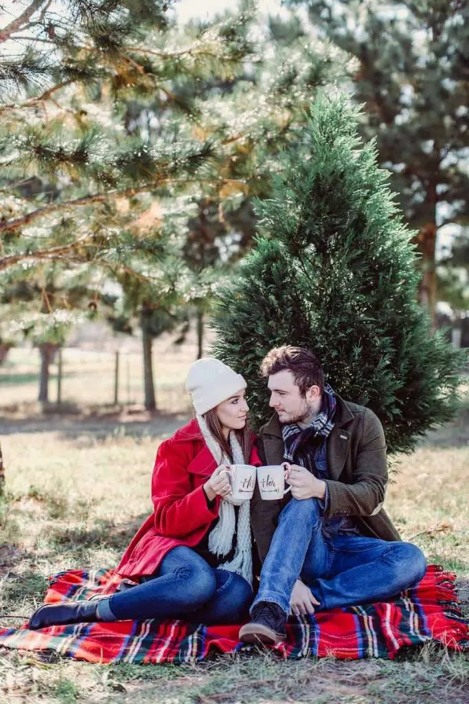 Winter Picnic engagement Photoshoot