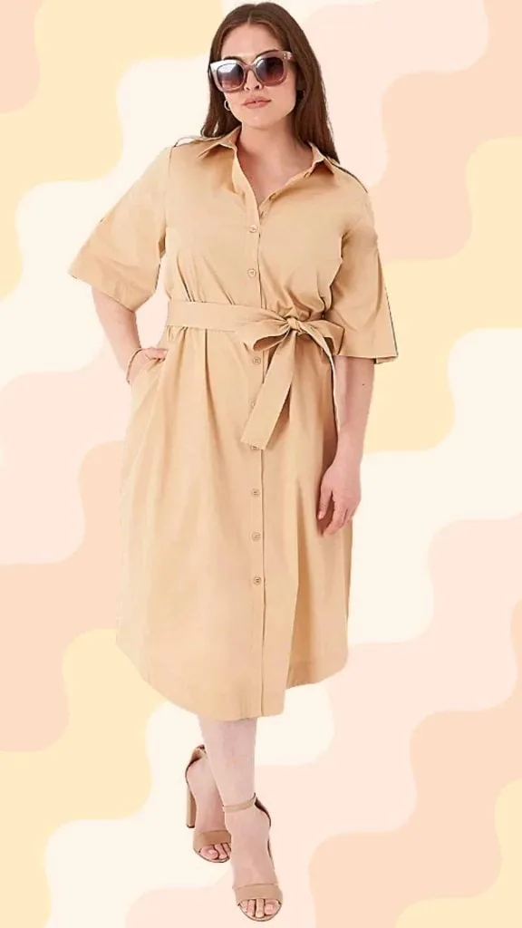 Collared belt shirt dress plus size petite