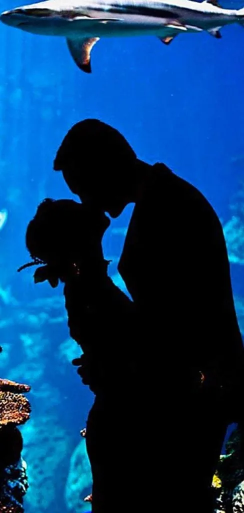 Aquarium date outfit ideas