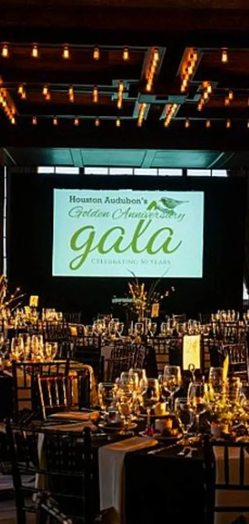 what to wear charity gala