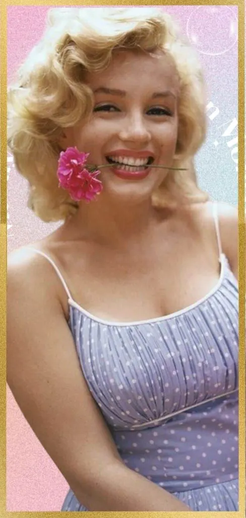 Marilyn Monroe sweet collage wallpaper