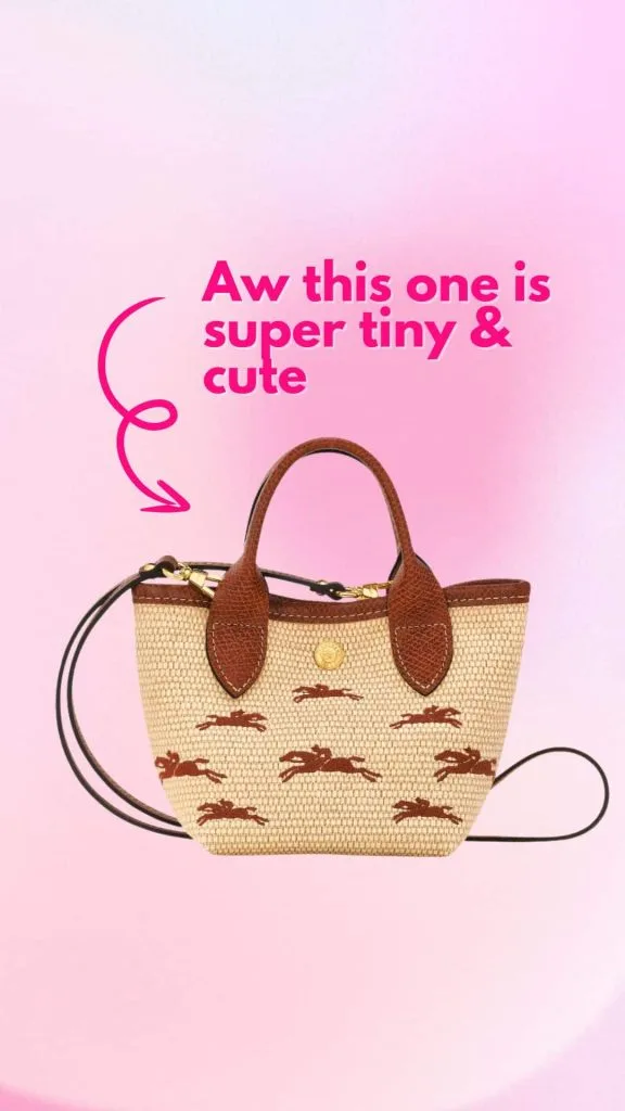 Longchamp Le Panier Pliage basket bag