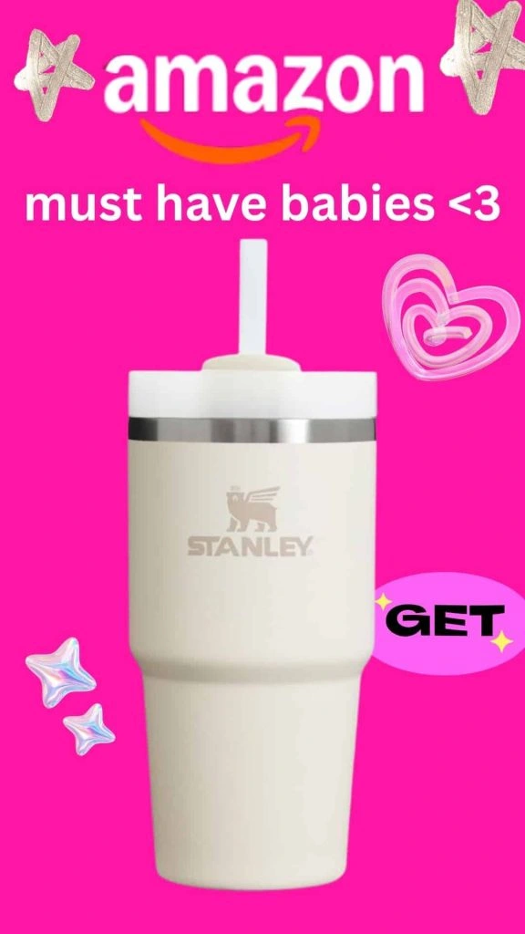 Stanley Tumblr amazon