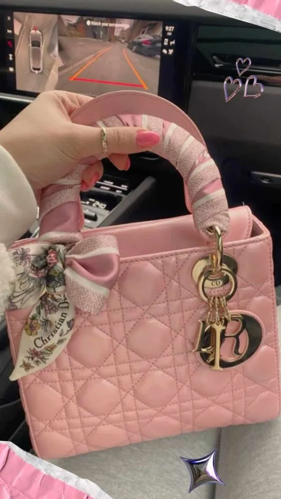 pink lady dior bags