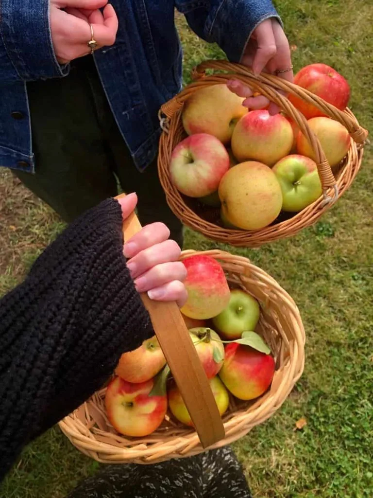 what to wear apple picking