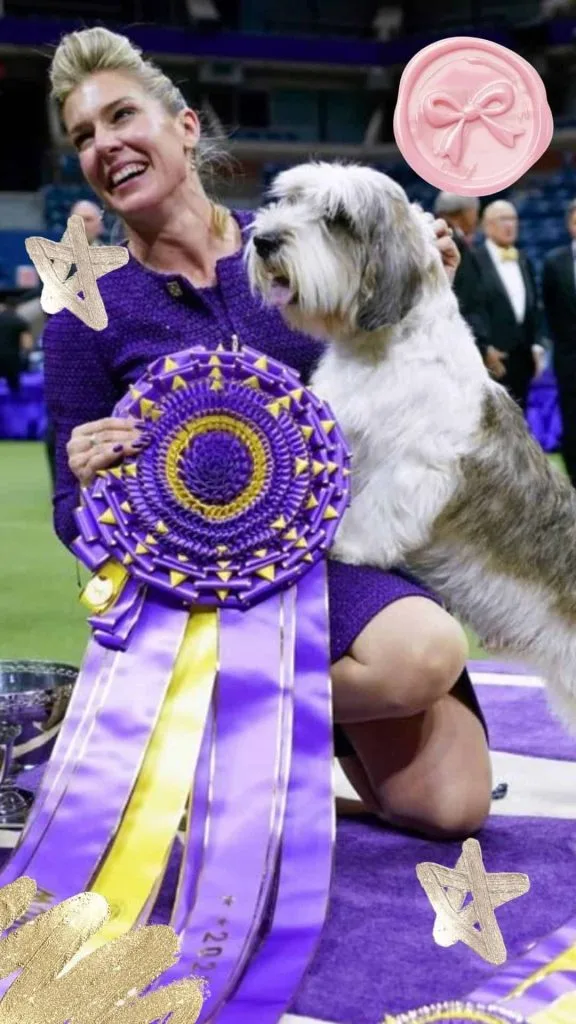 what to wear to dog show