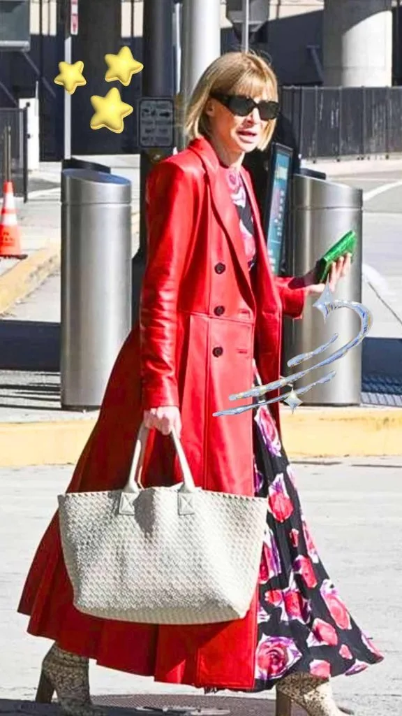 handbags for women over 60