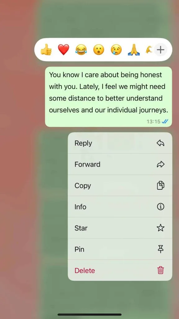 How to break up with a friend nicely msg
