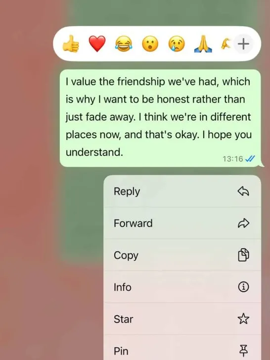 How to break up with a friend nicely?❤️👇🏼