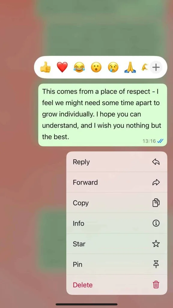 How to break up with a friend nicely msg