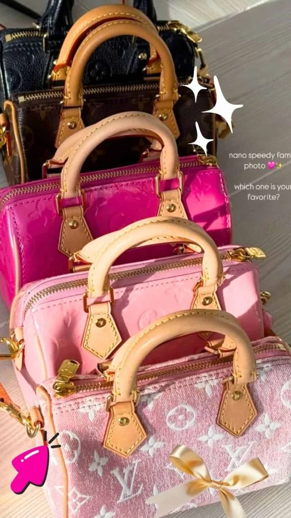 Louis Vuitton Speedy