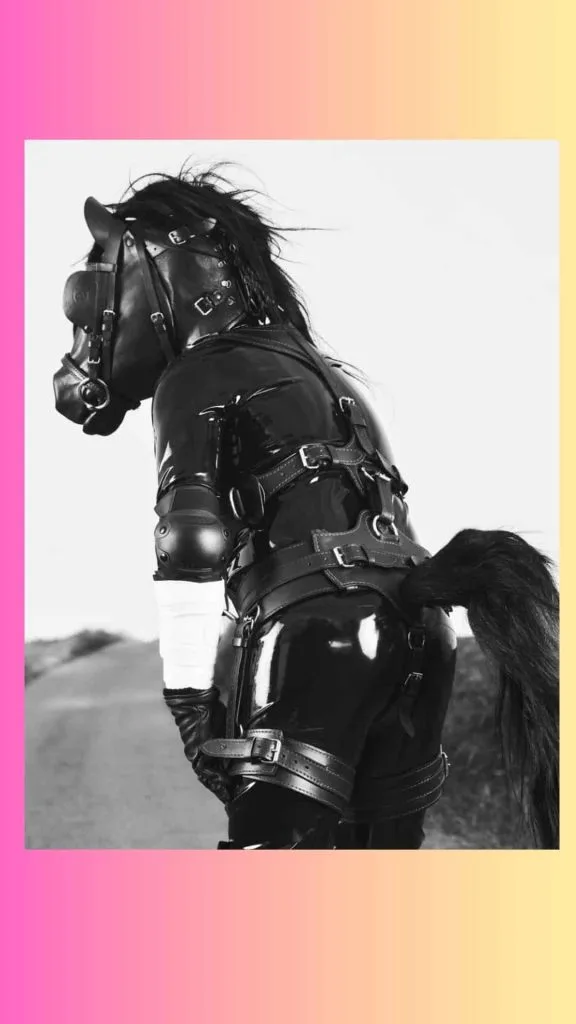 pony play outfits harness