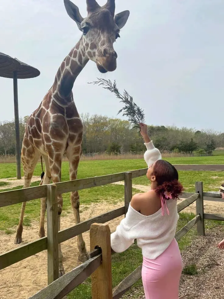 zoo date outfit summer