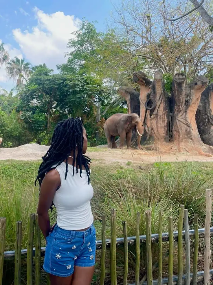 zoo outfits black women