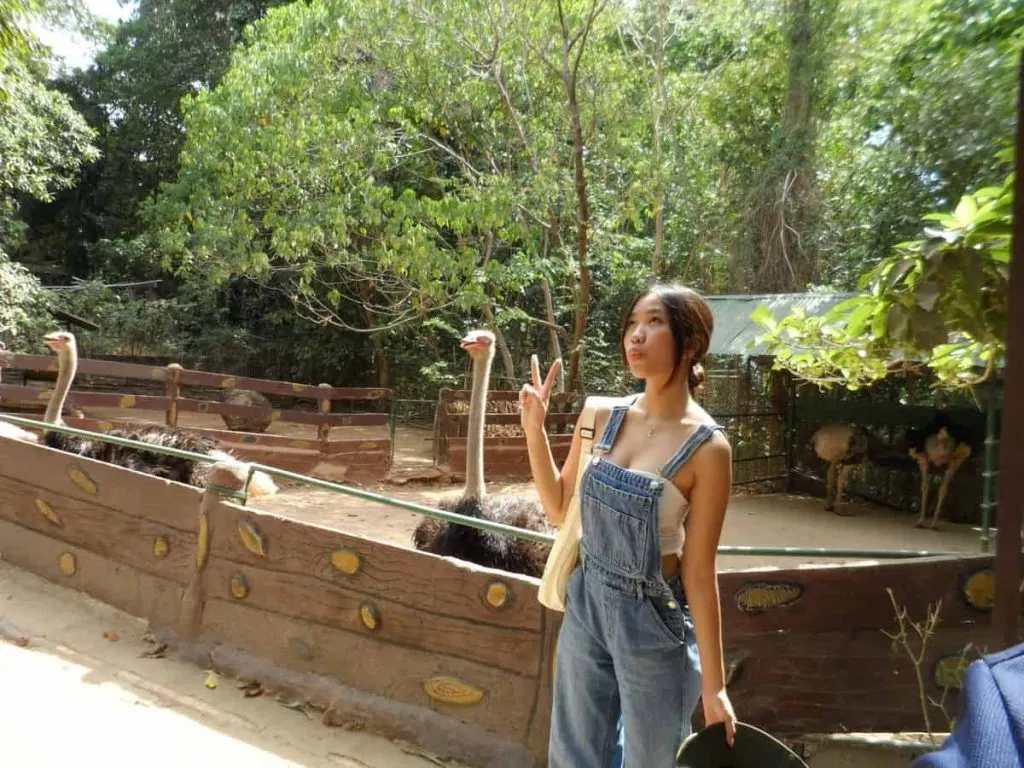zoo date outfit denim overalls