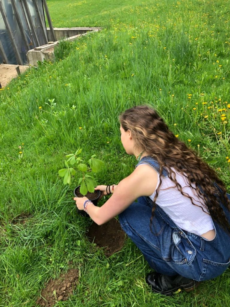 PLANT TREE day outfit ideas denim overall