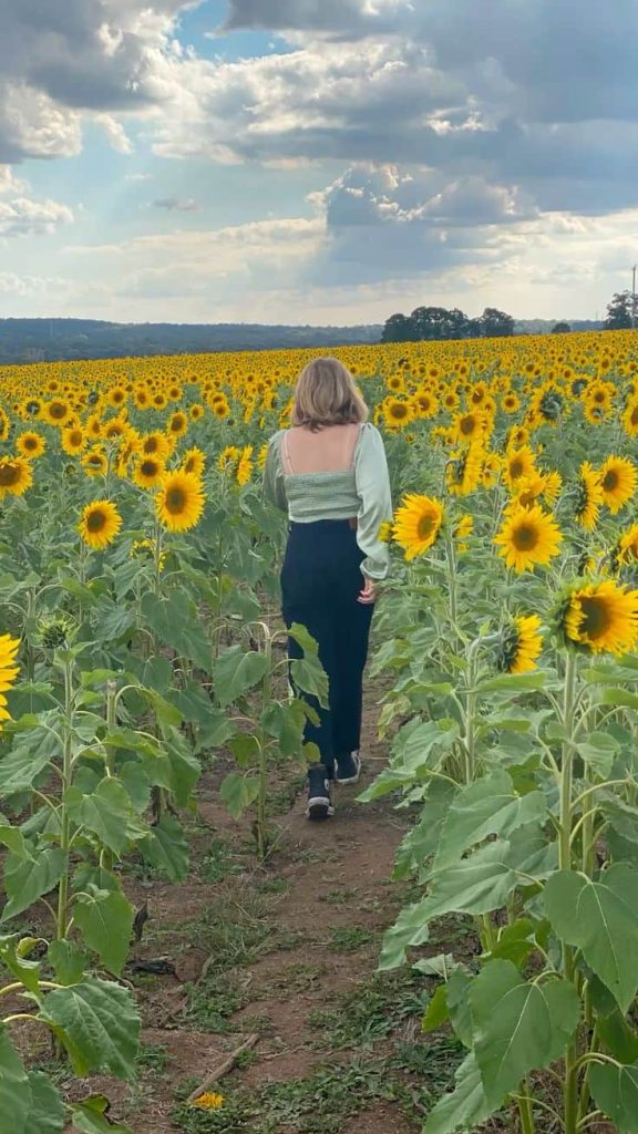 casual outfit  what to wear to sunflower field 